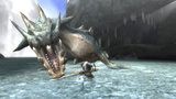 Monster Hunter 3DS: Befindet sich der 3D-Ableger bereits in Arbeit?