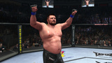 UFC Undisputed 2010: Online-Code führt zu Download-Verwirrung