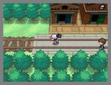 Pokémon Black and White für DS: 18 wunderhübsche Screenshots