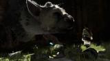 The Last Guardian wahrscheinlich mit PS3-Move-Support; Ico Collection enthält Trophies