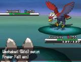 Pokémon Schwarz und Weiß: Komplettlösung, alle Fundorte, Tipps, Tricks, Cheats - Update