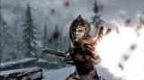 Skyrim: Probleme mit Patch 1.5 - Lösung für Freezes beim Eintauchen ins Wasser