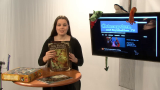 Late Nerd Show #7: Untote in Comics und Das Schwarze Auge