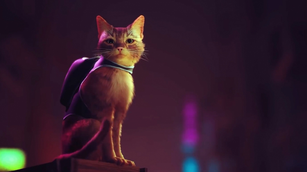 Stray: Auf Samtpfoten durch eine Cyberpunk-Metropole - alle Infos zum Katzenabenteuer!