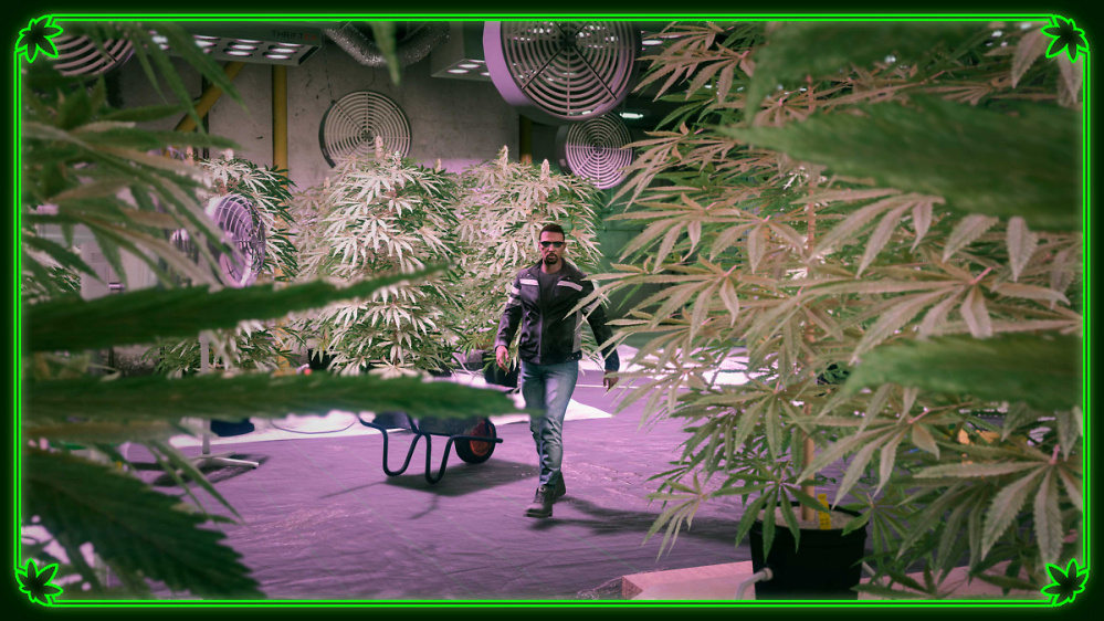 GTA 5: Rockstar startet neues 420-Event im Online-Modus