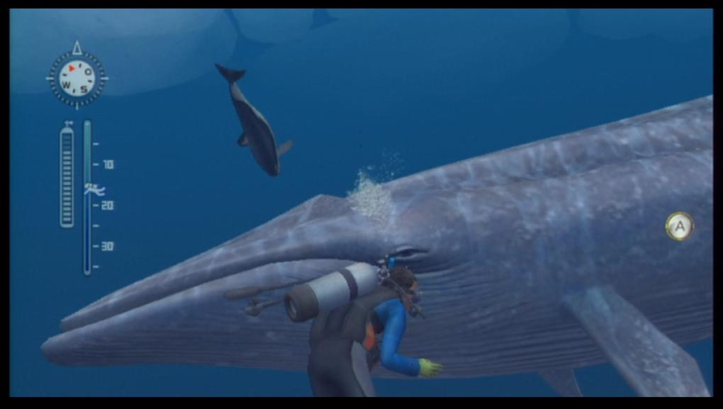 Endless Ocean 2 - Der Ruf des Meeres
