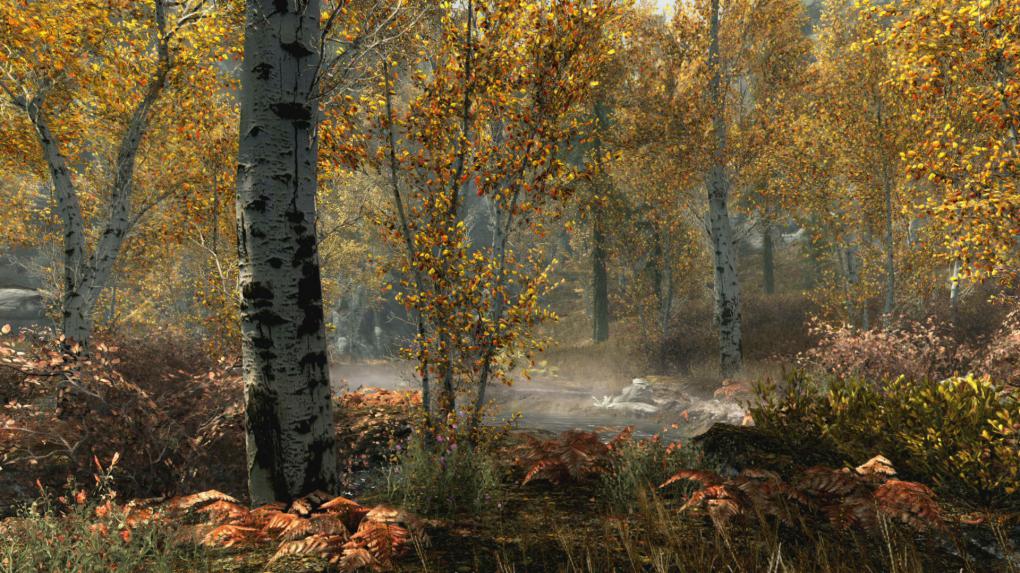 Skyrim Remaster Special Edition