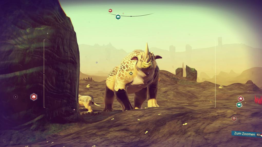 Und wieder ein hübsches Exemplar für die Fauna-Foto-Datenbank.