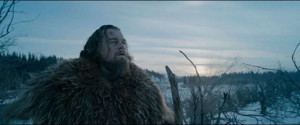 Szenenbild aus 'The Revenant - Der Rückkehrer'