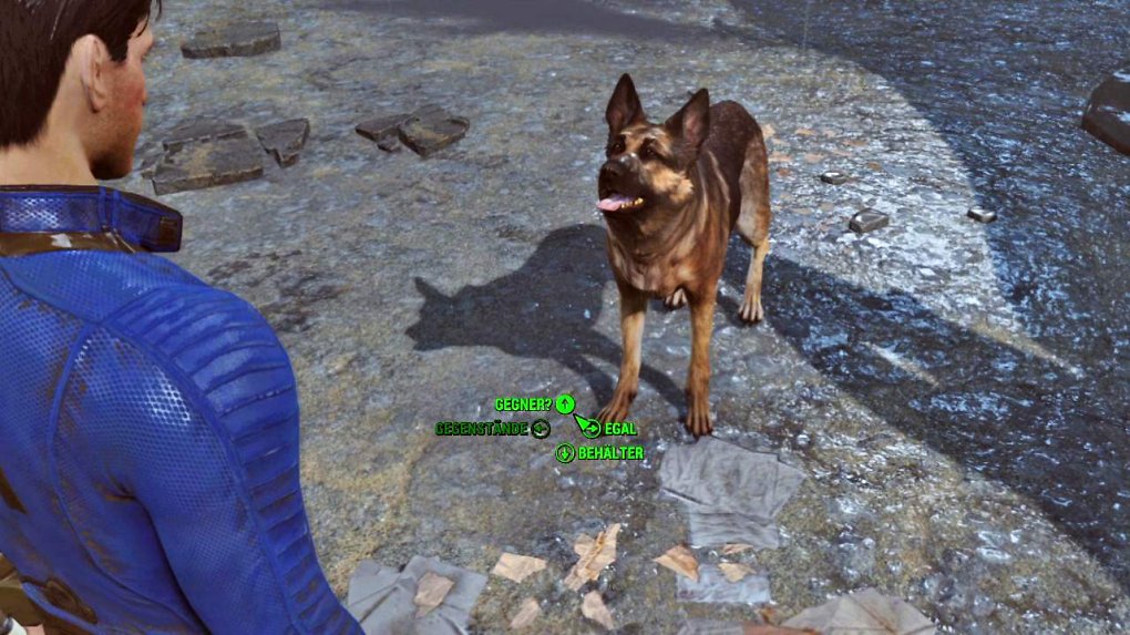 Dogmeat