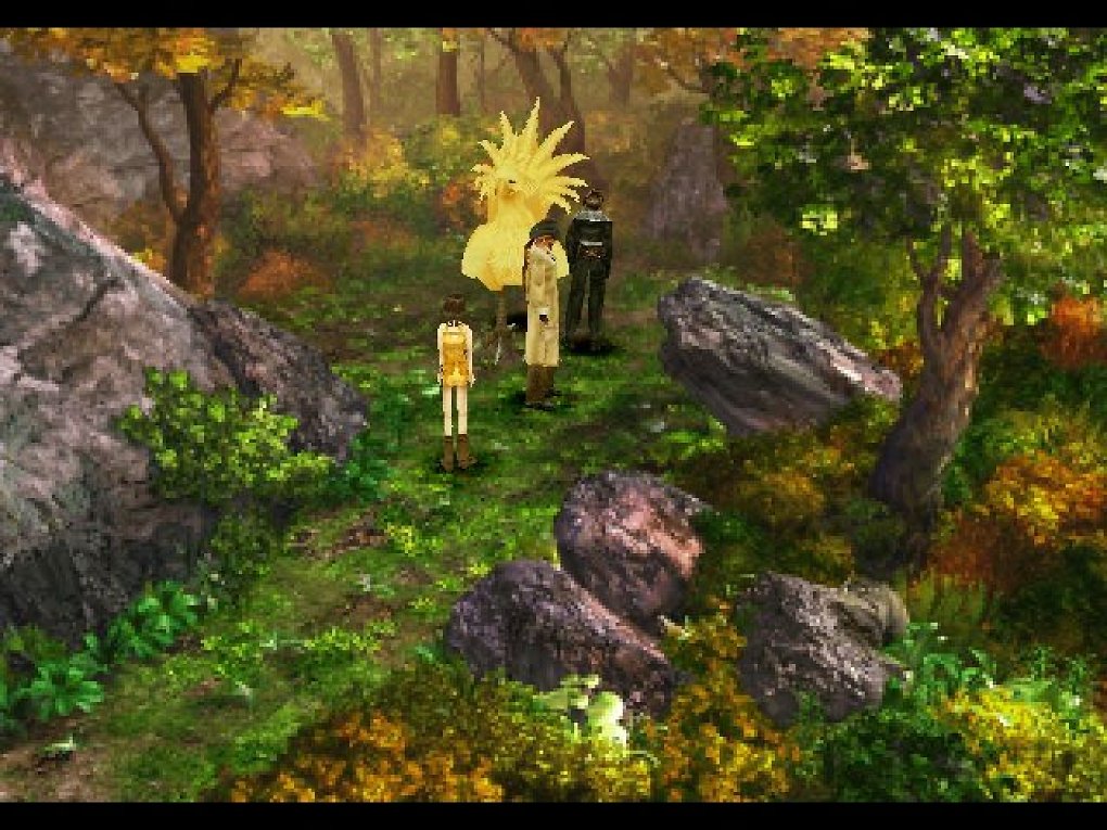 NPCs und ein Chocobo