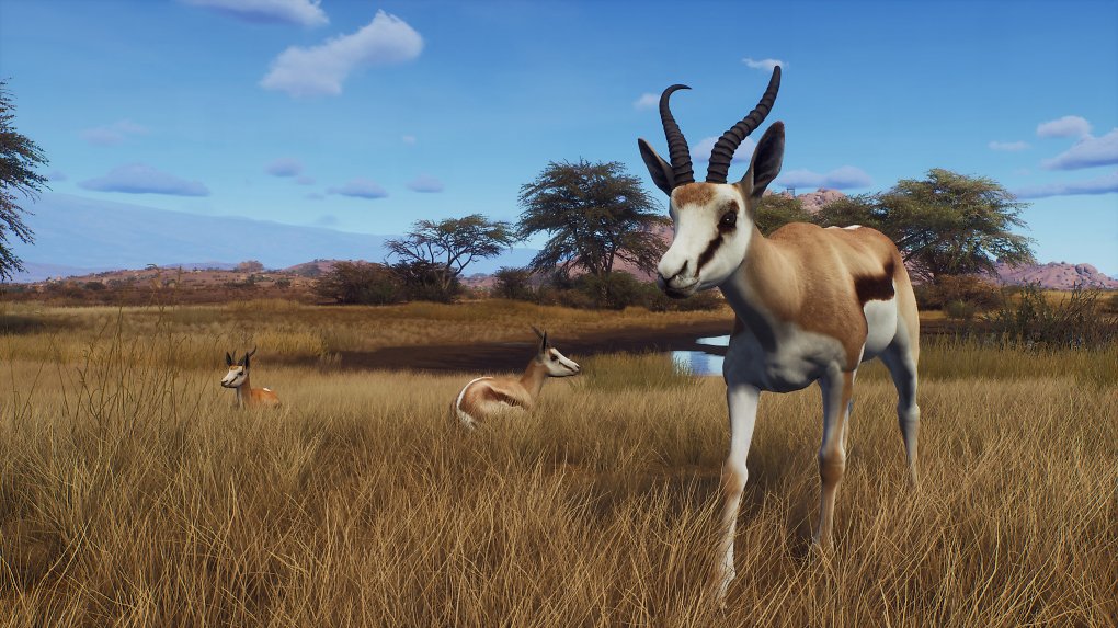 Antilope