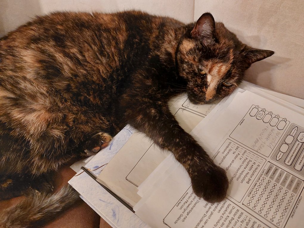Eine Katze liegt auf einem D&amp;D-Charakterbogen.