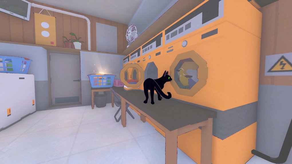 Die Katze betrachtet ein Entenküken, das in der Waschmaschine steckt.