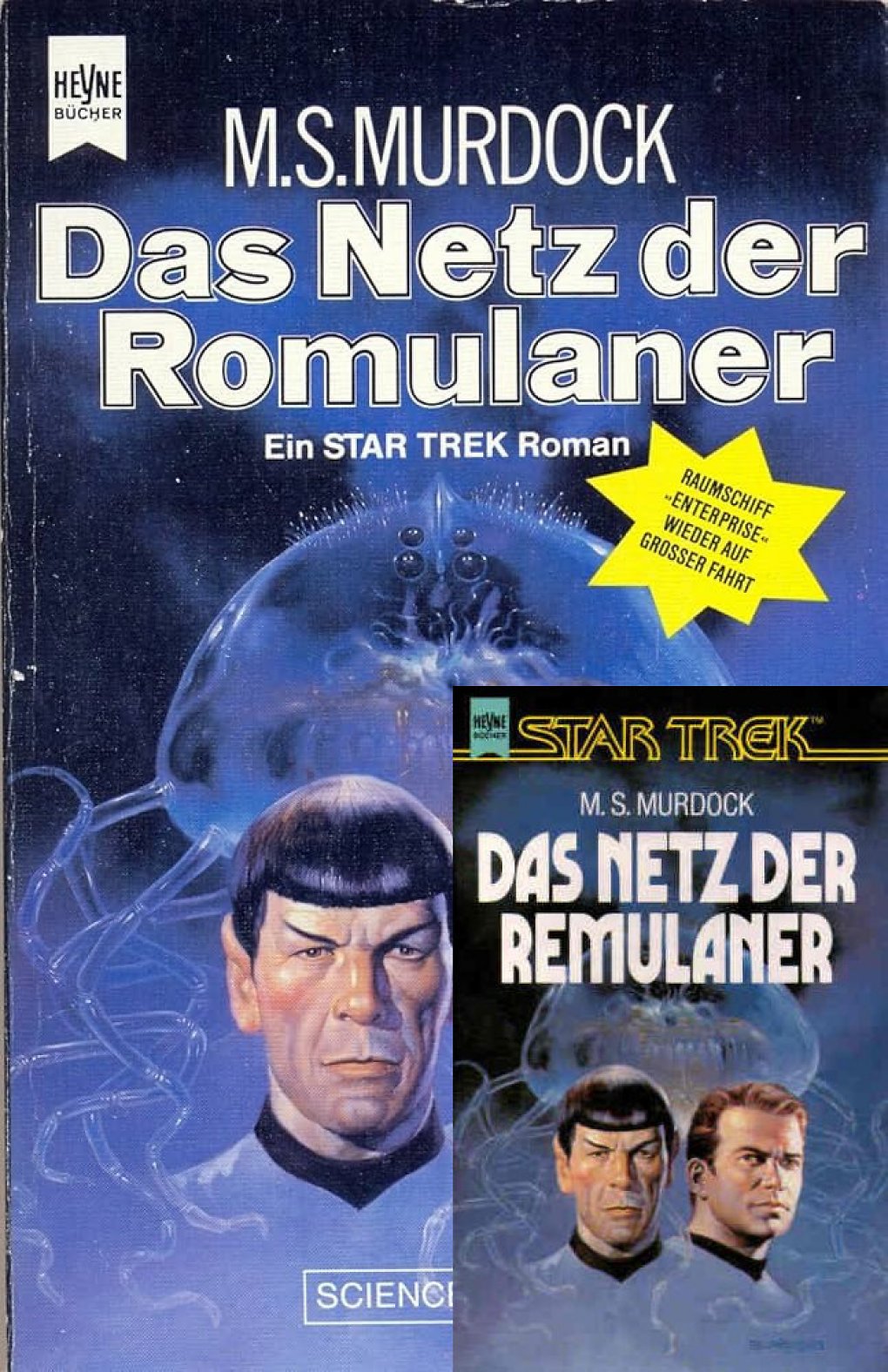 Ganz egal ob Romulaner oder Remulaner - diese Geschichte irritierte mich.