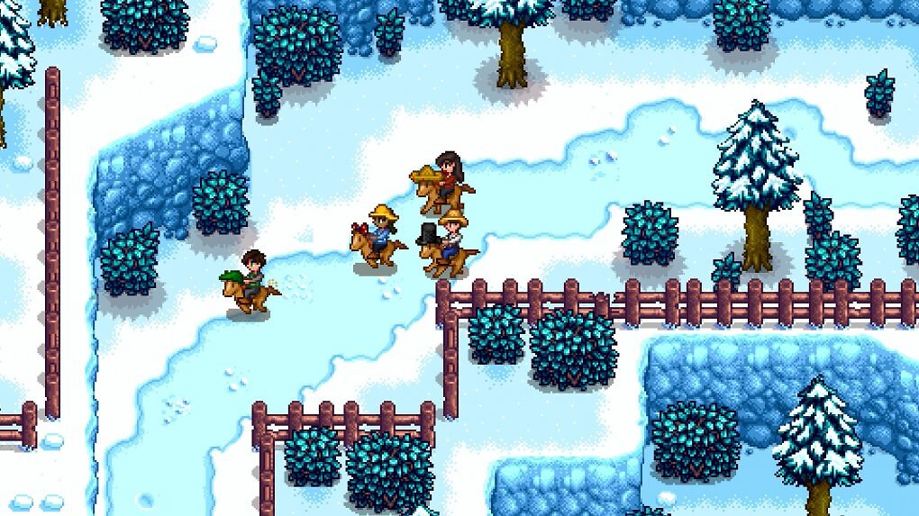 Seit April 2018 ist Stardew Valley im Online-Multiplayer verfügbar. Im Dezember 2020 wurde zudem ein lokaler Splitscreen-Modus hinzugefügt.