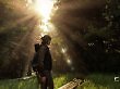 The Last of Us Online