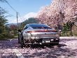 Forza Horizon 6 benötigt unter Linux noch sehr viel Produktpflege.
