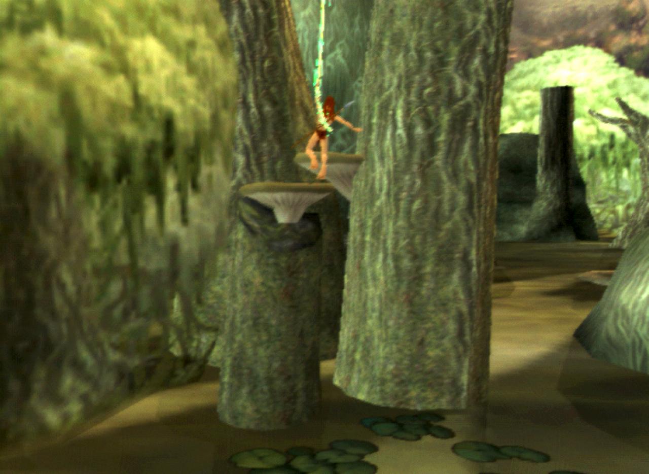 [14/03/2002] Mit der Liane geht es von Baum zu Baum.