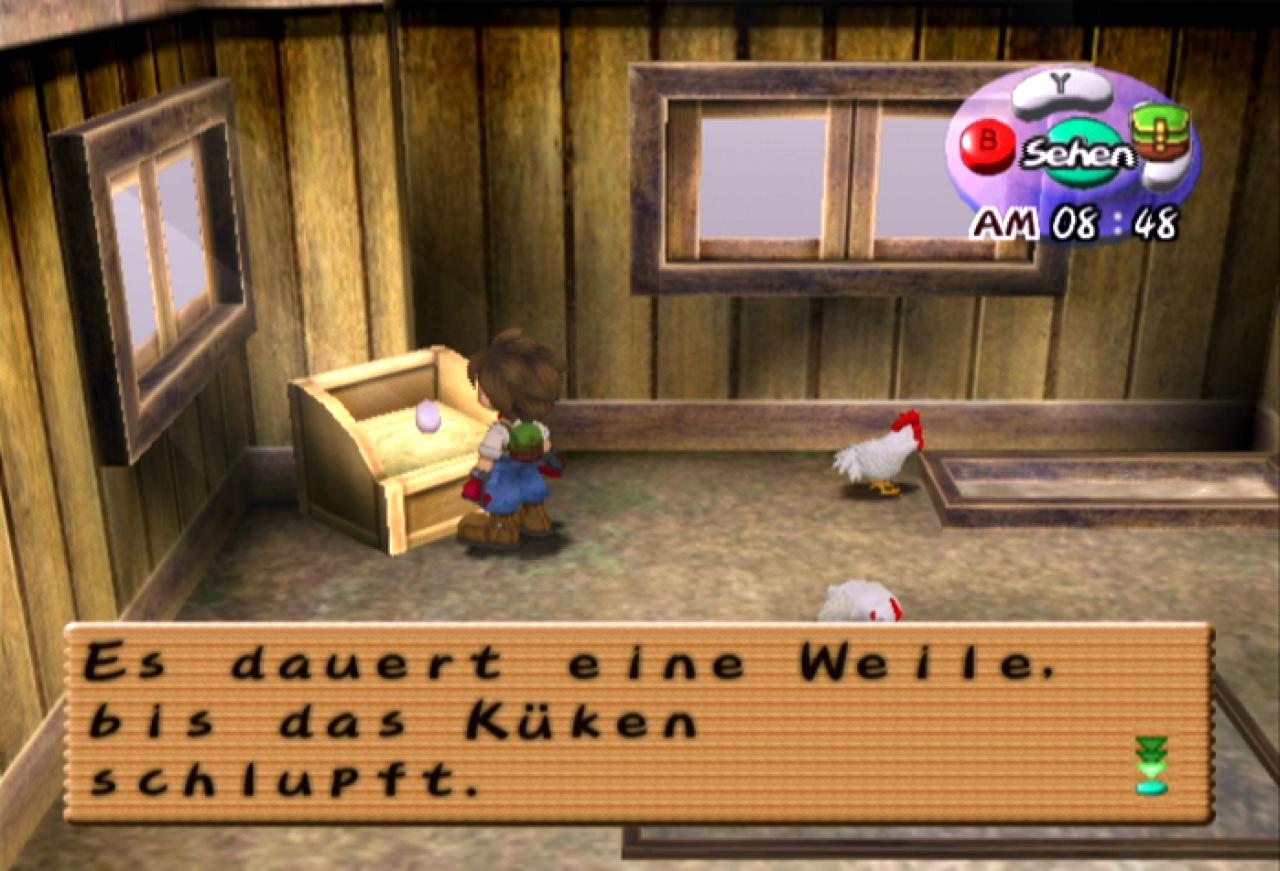 [11/05/2004] Der neu gekaufte Hahn hat prompt eine Henne beglückt.