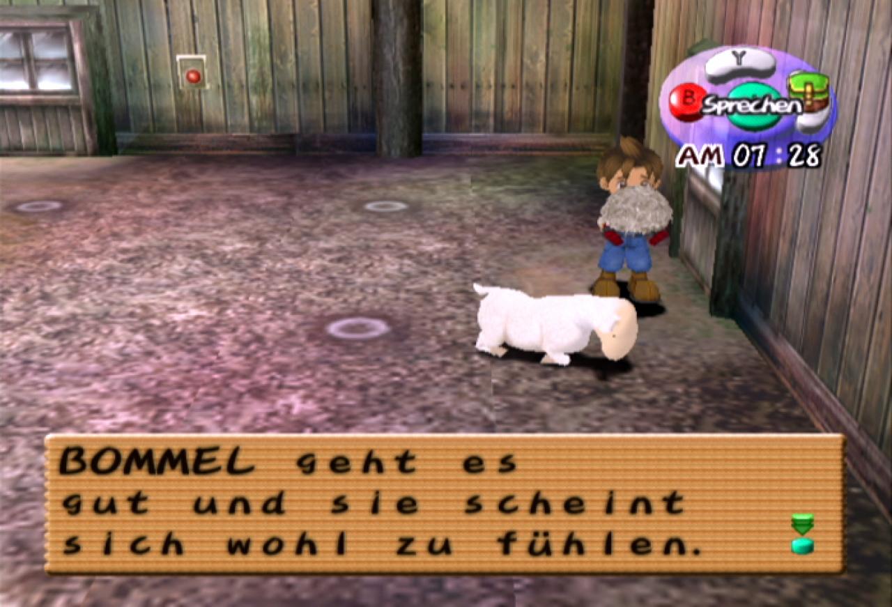 [11/05/2004] Alle zehn Tage macht ihr eure Schafe nackig.