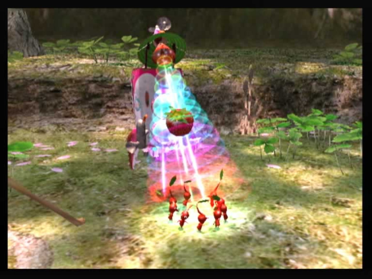 [05/11/2004] 