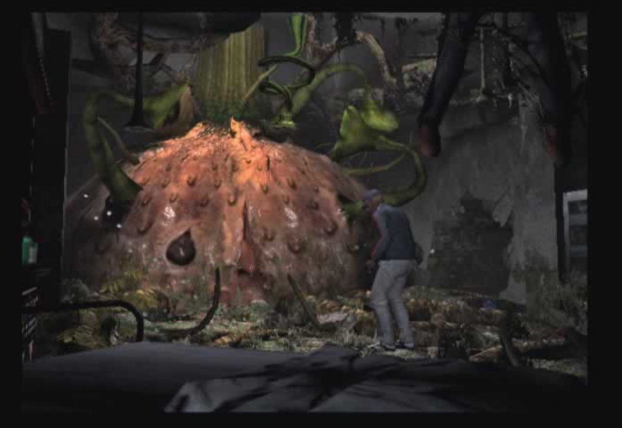 [11/10/2005] 