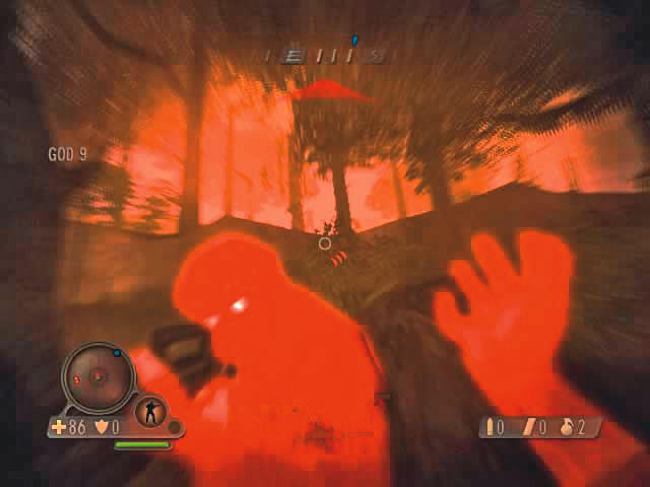 [17/05/2006] 
