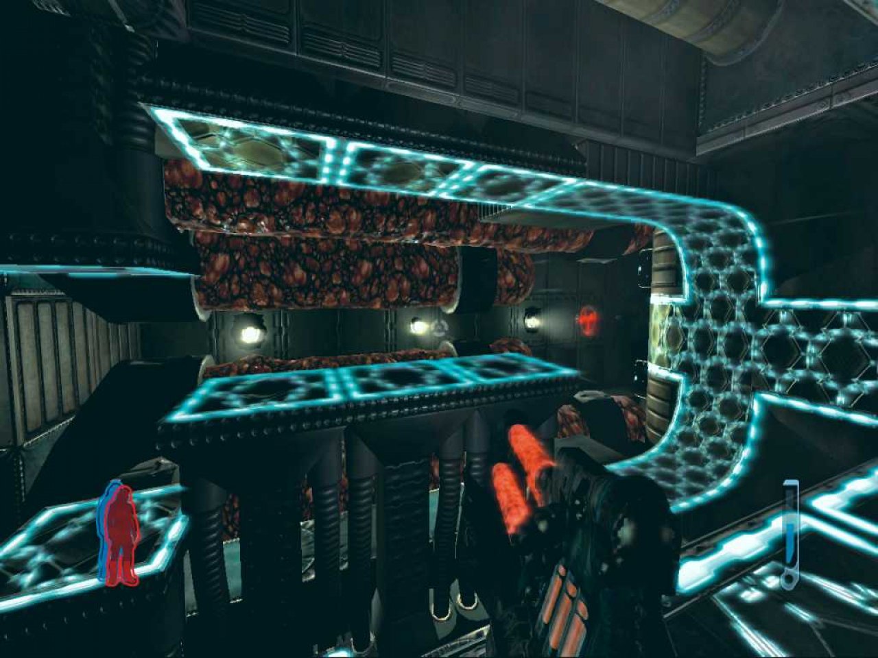 [15/08/2006] BILD: XBOX-ZONE