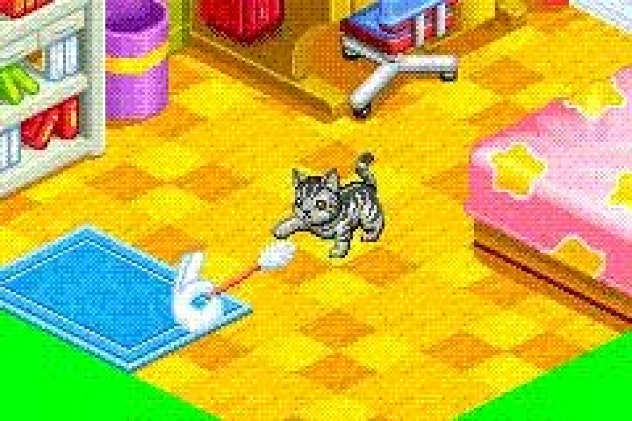 [30/10/2006] 5. Catz