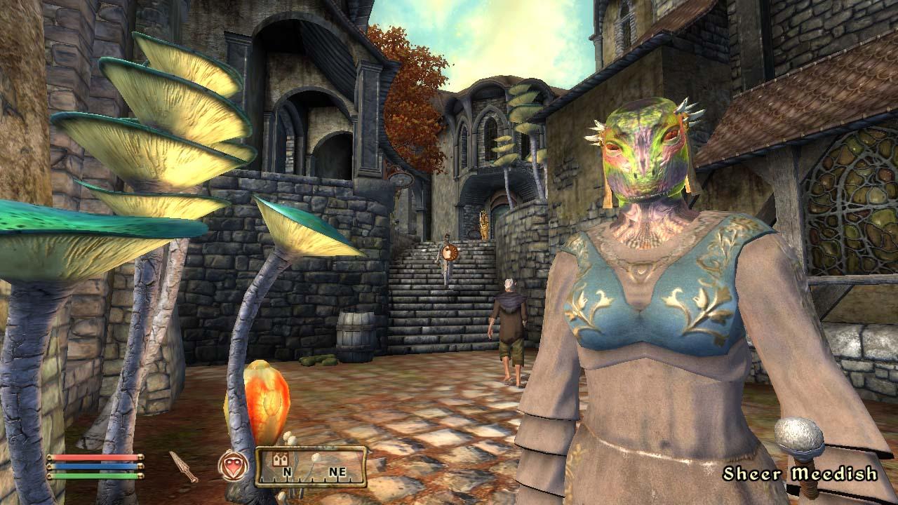 [29/03/2007] Oblivion - Solltet ihr Skyrim schon durchgespielt und Oblivion noch nicht angefangen haben, so zockt ihr euch durch den sehr guten vierten Teil der Serie.