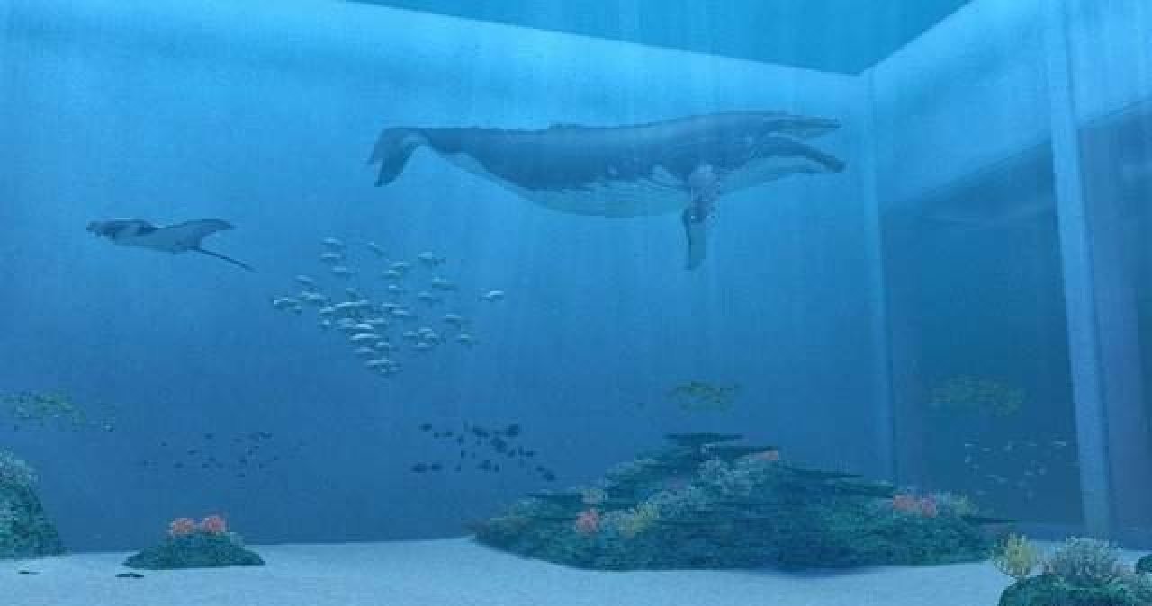 [09/07/2007] Endless Ocean - Wii 