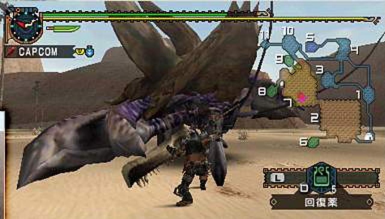 [19/11/2007] Bild aus Monster Hunter Portable 2nd G