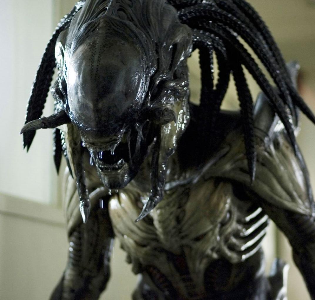 [21/05/2008] Aliens