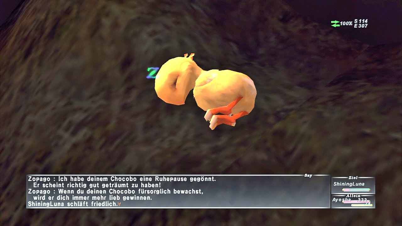 [10/06/2008] Das Tamagotchi lässt grüßen. Sie dürfen Ihren eigenen Chocobo-Reitvogel pflegen, füttern und großziehen.