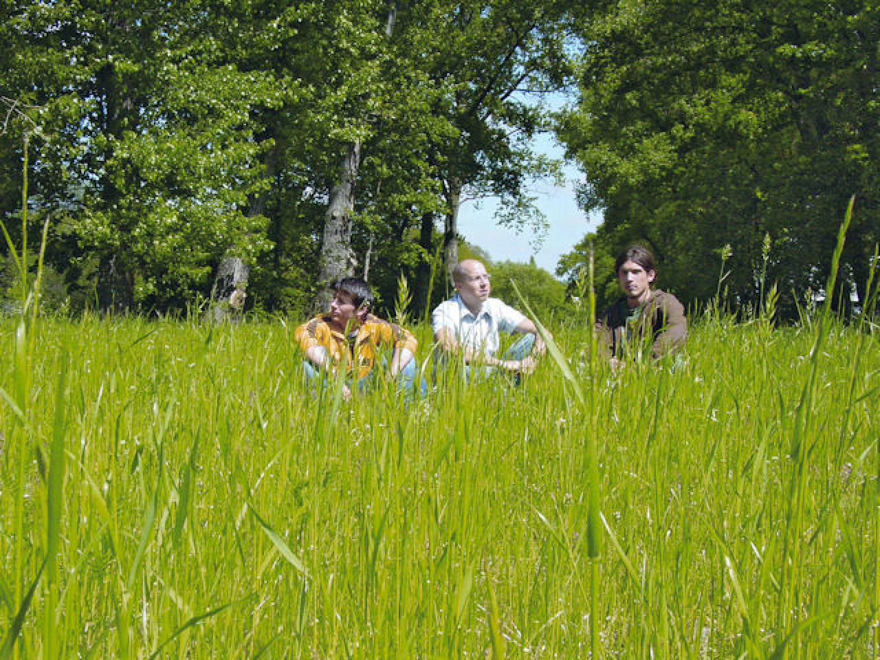 [17/07/2008] Nr. 5 - Die Layouter auf Gras