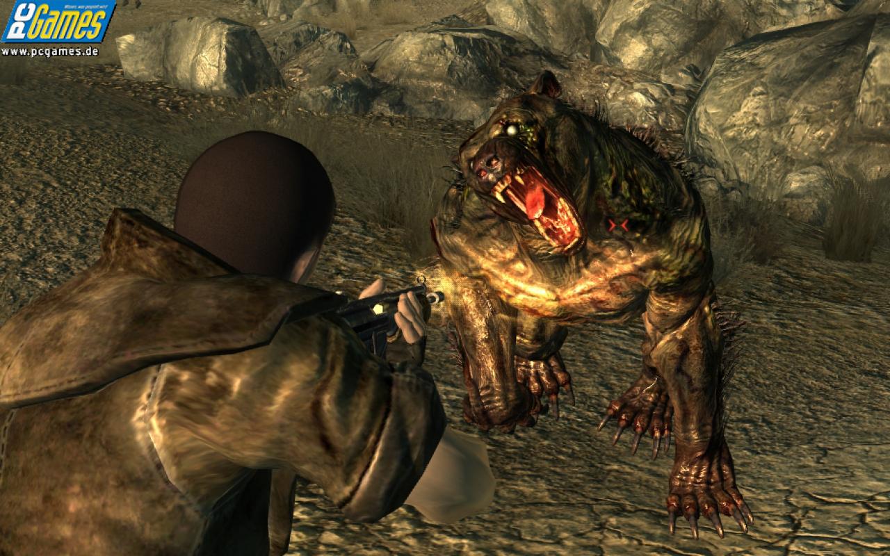 [11/11/2008] 