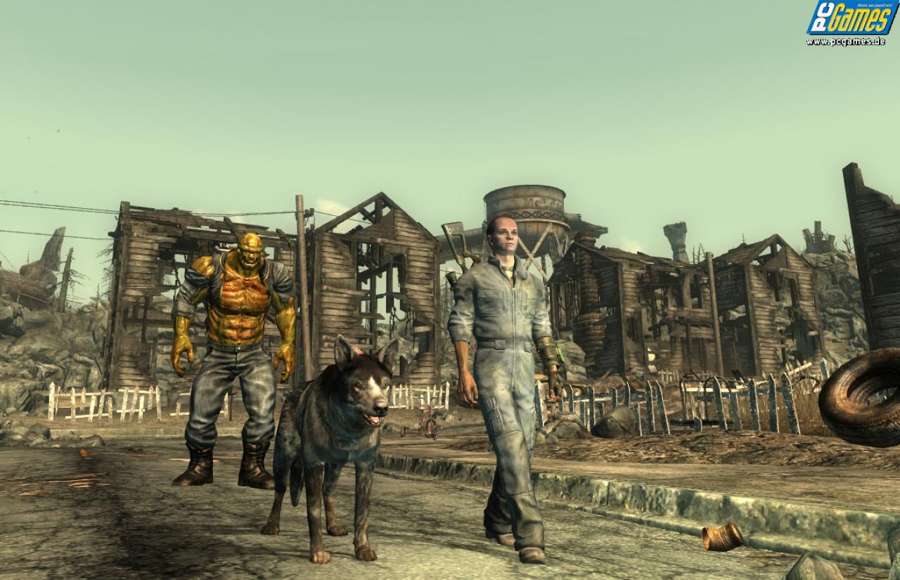 [11/11/2008] 