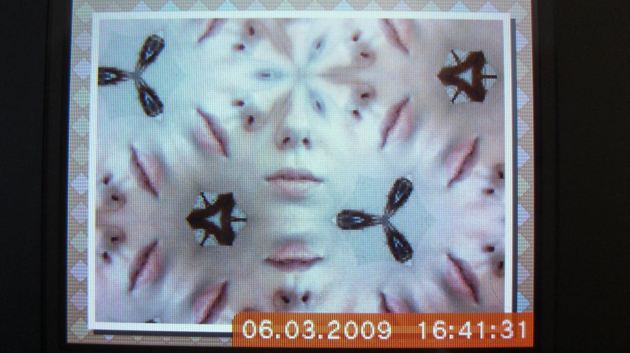 [16/03/2009] Nintendo DSi - Das Bildertool in Aktion.