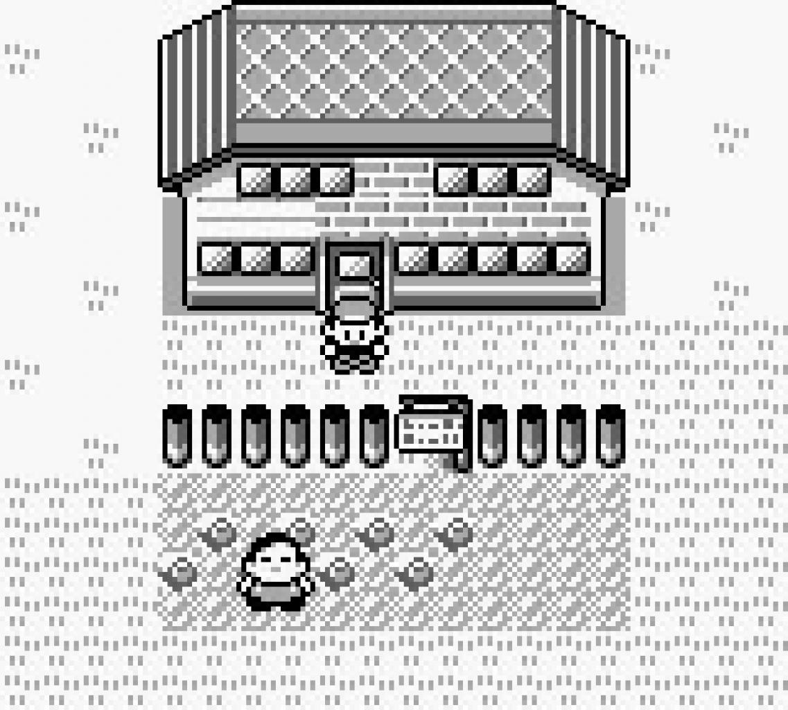 [21/04/2009] Pokemon Blau / Rot (6)