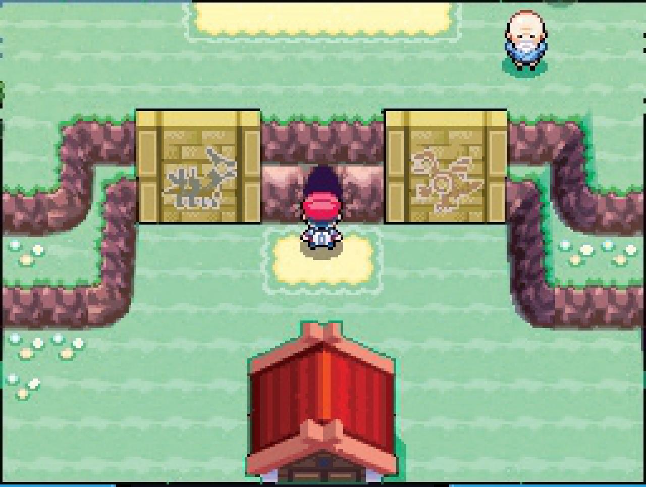 [18/05/2009] Pokémon Platin-Edition (13)