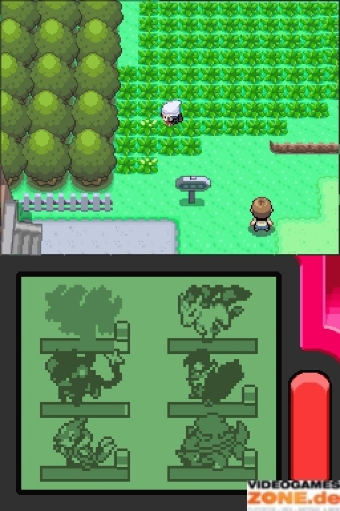 [19/05/2009] Pokémon: Platin-Edition (13)