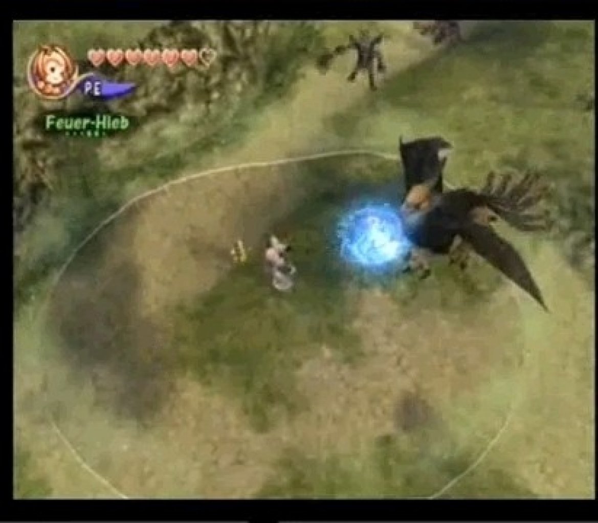 [20/05/2009] Final Fantasy Crystal Chronicles sollte laut VGZ-User [k]Hephalum[/k] 