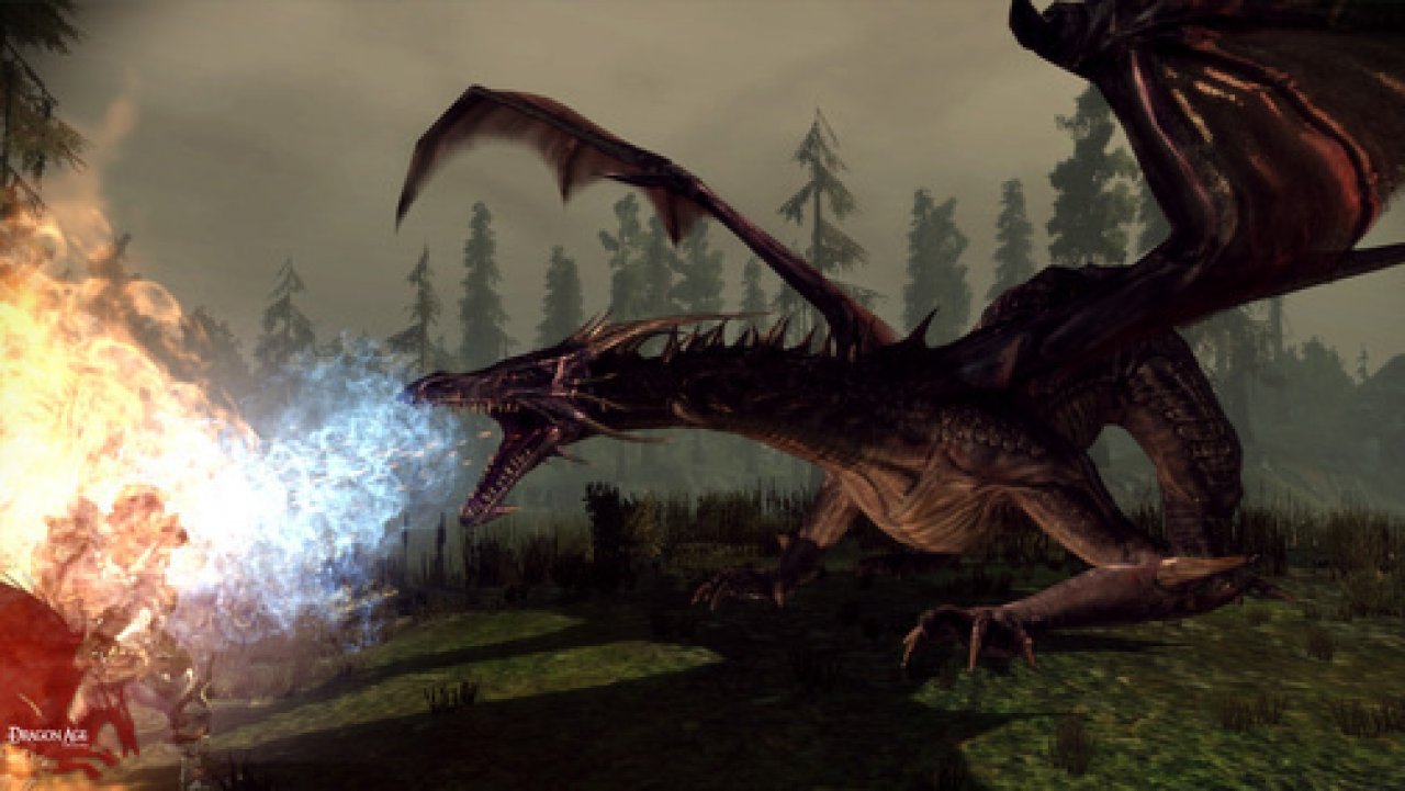 [09/11/2009] 14. Dragon Age Origins