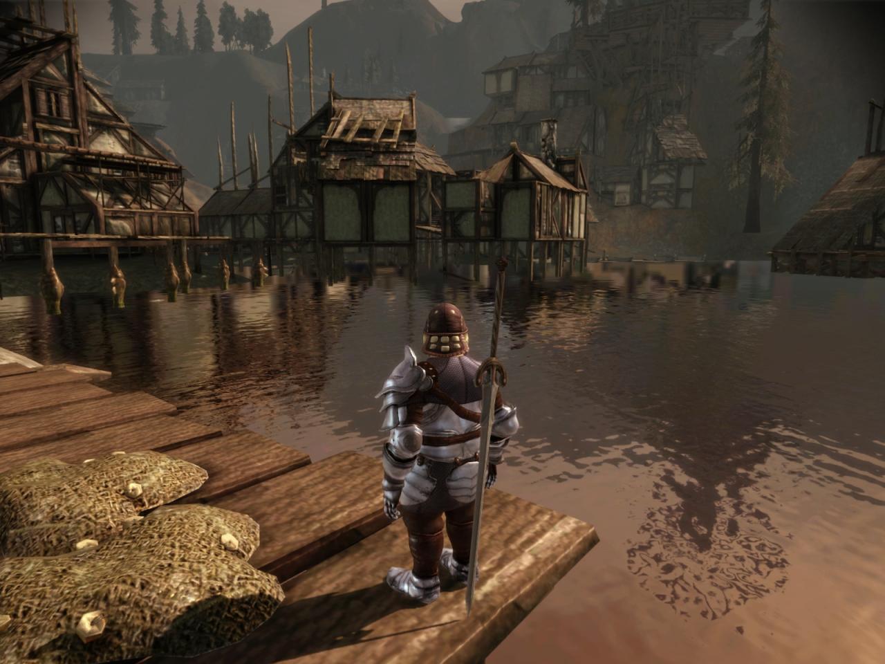 [02/11/2009] Screenshots aus Dragon Age: Origins. (5)