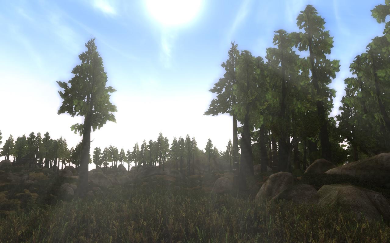 [23/02/2010] The Elder Scrolls: Morrowind - Das bereits erwähnte Skyrim und Oblivion hat Leser DasSmile angespornt, den grandiosen Vorgänger Morrowind zu zocken. Wir empfehlen: Spielt das Game am PC und installiert die Grafik-Mods! Leser-Vorschlag