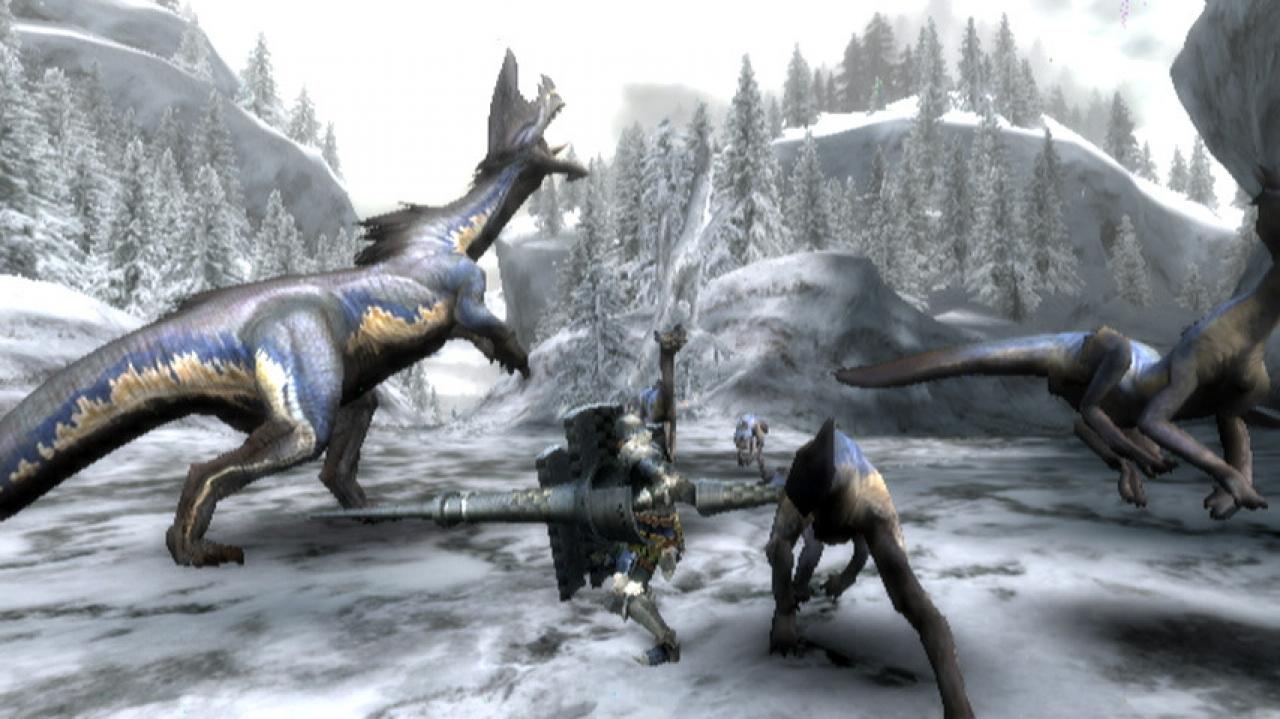 [15/04/2010] Knackige HD-Landschaften, riesige Monster und jede Menge Details - Monster Hunter Tri wäre in HD aus vielen Gründen ein Garant für einen Top-Titel.