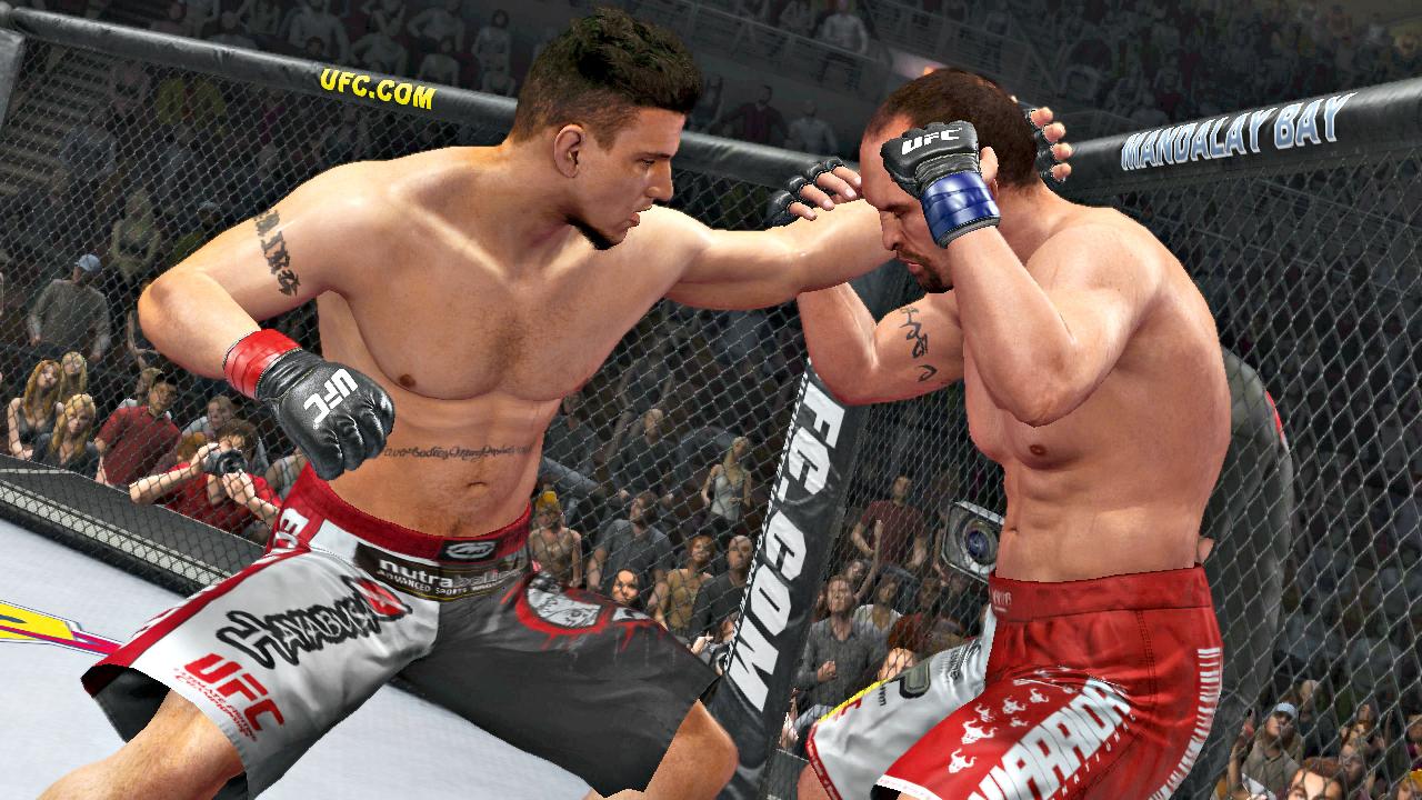 [10/05/2010] Weitere Screenshots aus UFC Undisputed 2010 für PS3 und Xbox 360. (10)