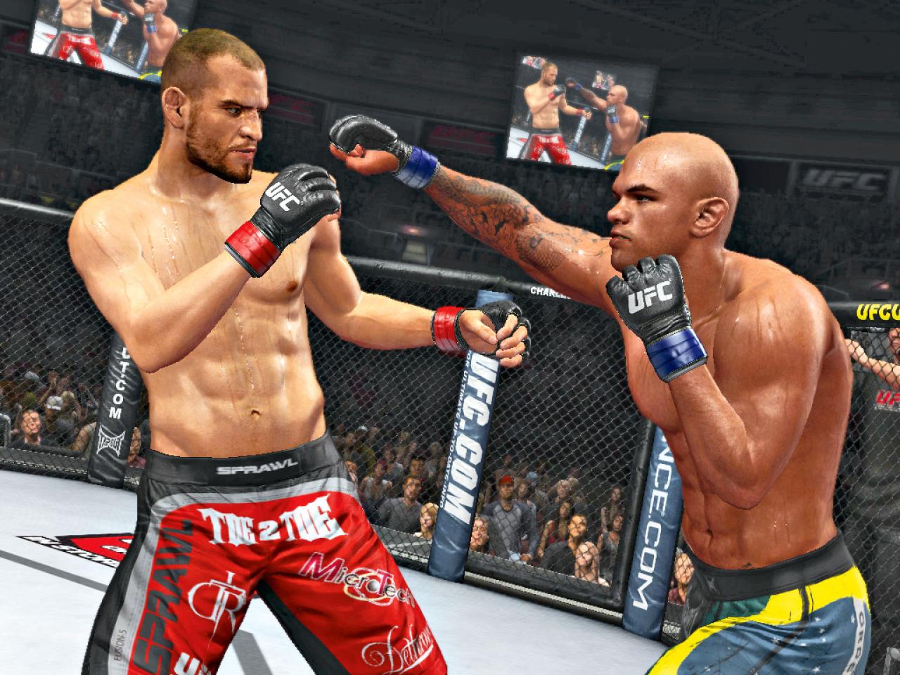[10/05/2010] Weitere Screenshots aus UFC Undisputed 2010 für PS3 und Xbox 360. (8)