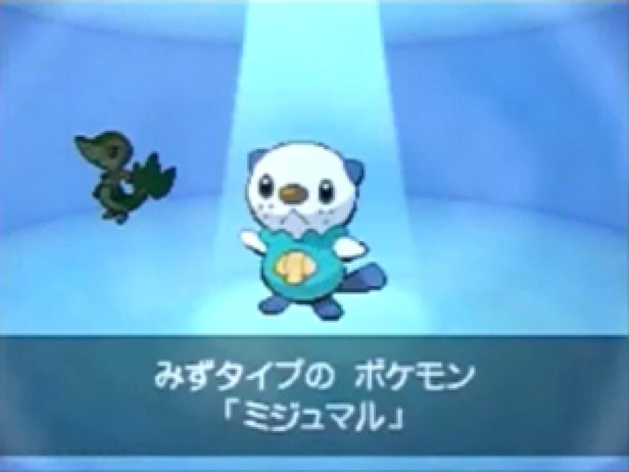 [28/06/2010] Screenshots aus Pokémon Schwarz und Weiß für den Nintendo DS. (8)